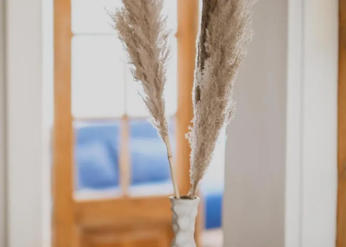 Dreamy High-ceiling In The Centre * Pärnu