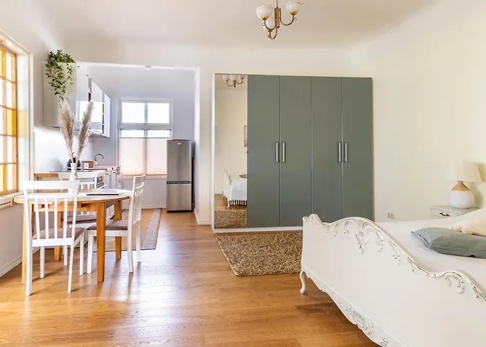 Dreamy High-ceiling In The Centre Apartment